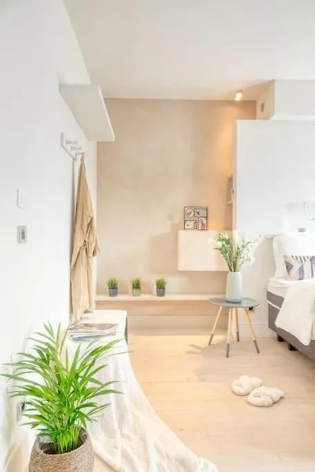 Light-Filled Haven In Ghent Apartment